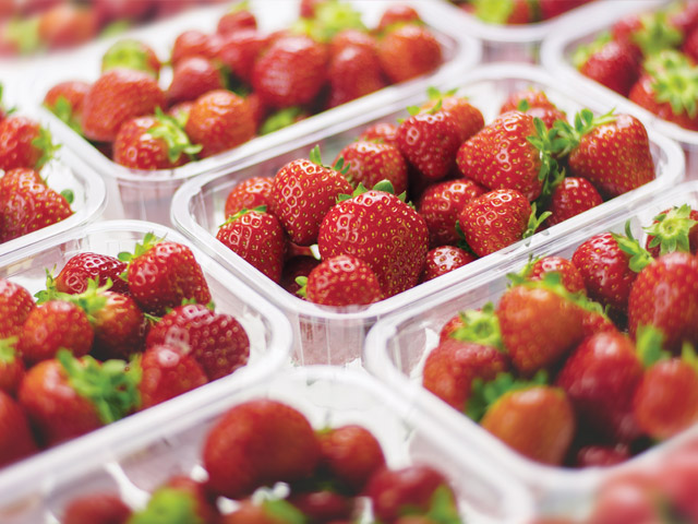 Fresh Produce Packaging