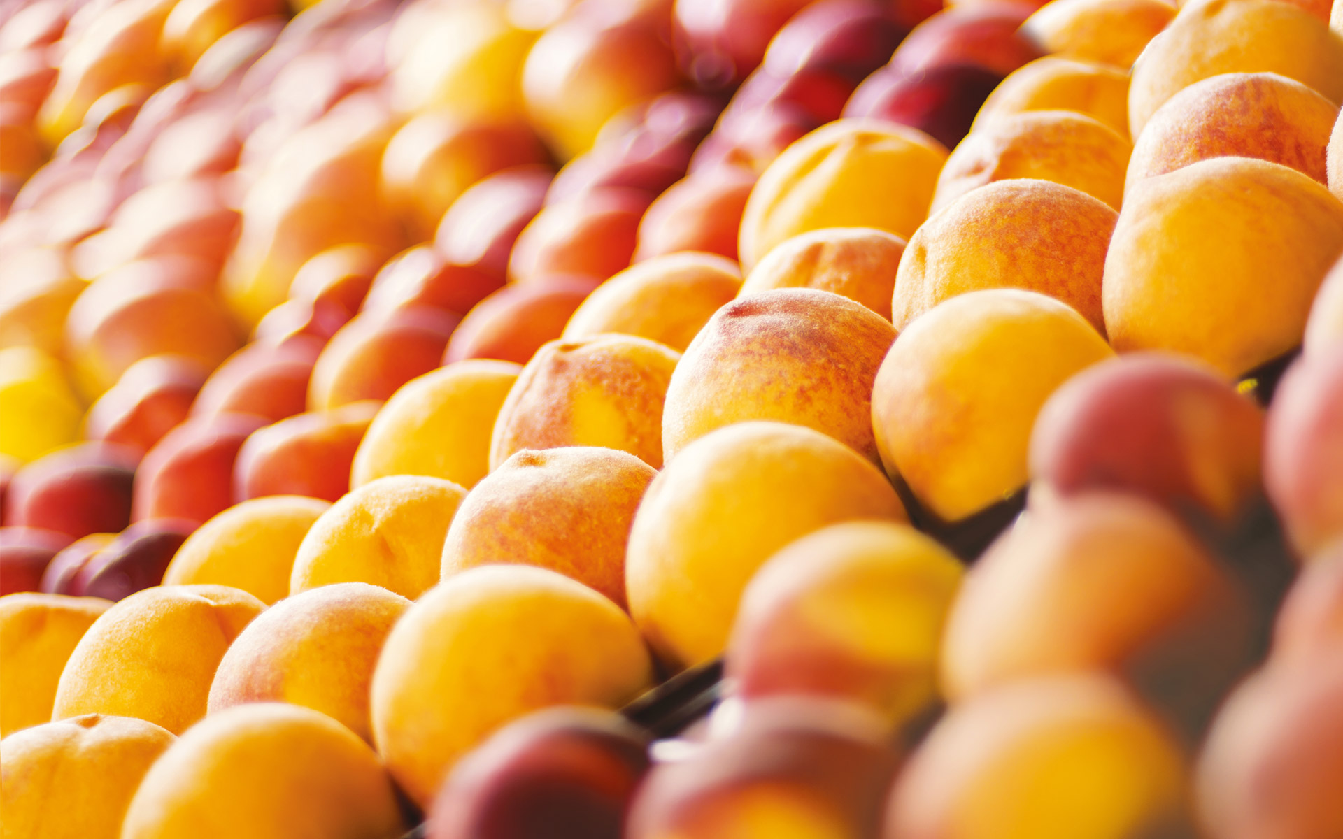 Fruit nest trays