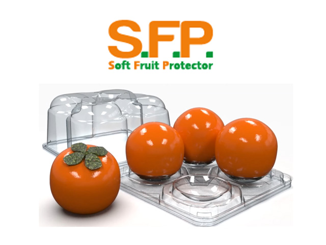 S.F.P.