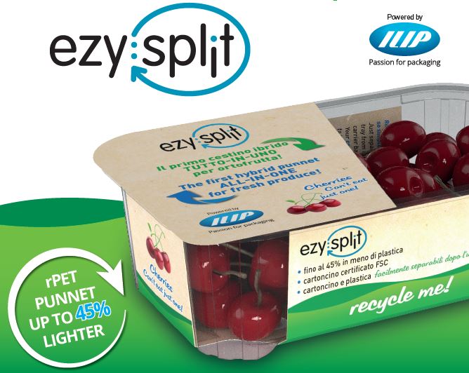 Hybrid punnet ezy:split