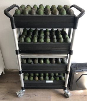 Smartripe Trolley con 128 avocado